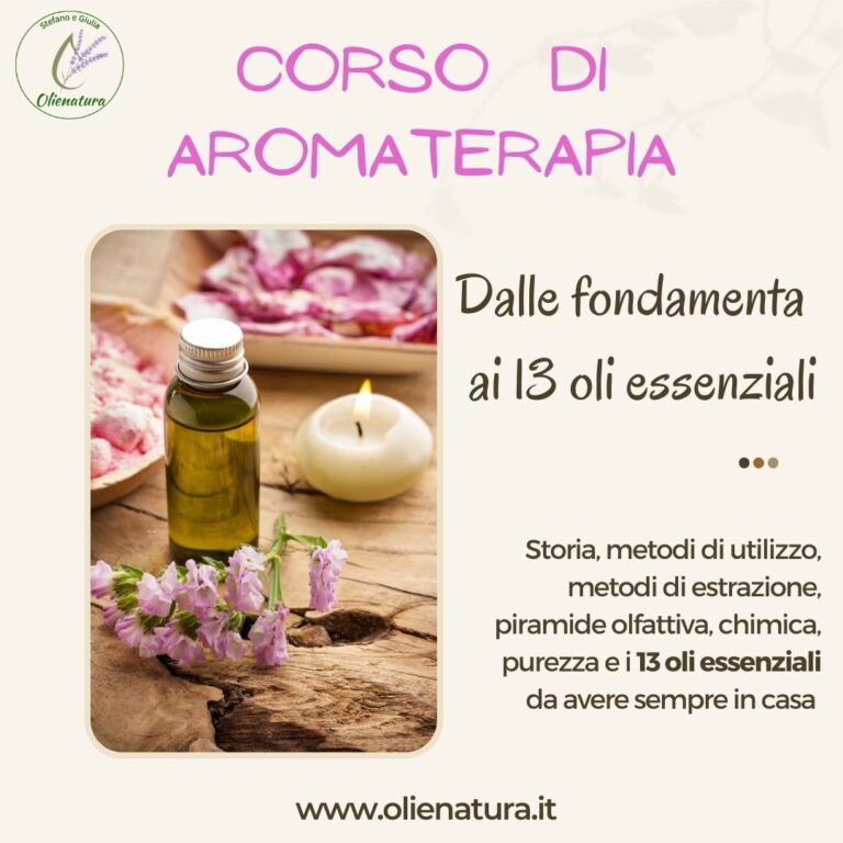 corso dalle fondamenta ai 13 oli essenziali